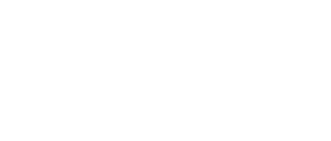 Divini